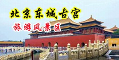 大阴茎操屄视频中国北京-东城古宫旅游风景区